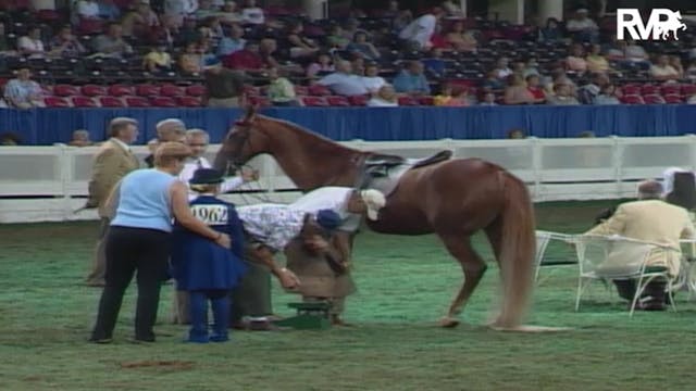 2004 World's Championship Horse Show ...