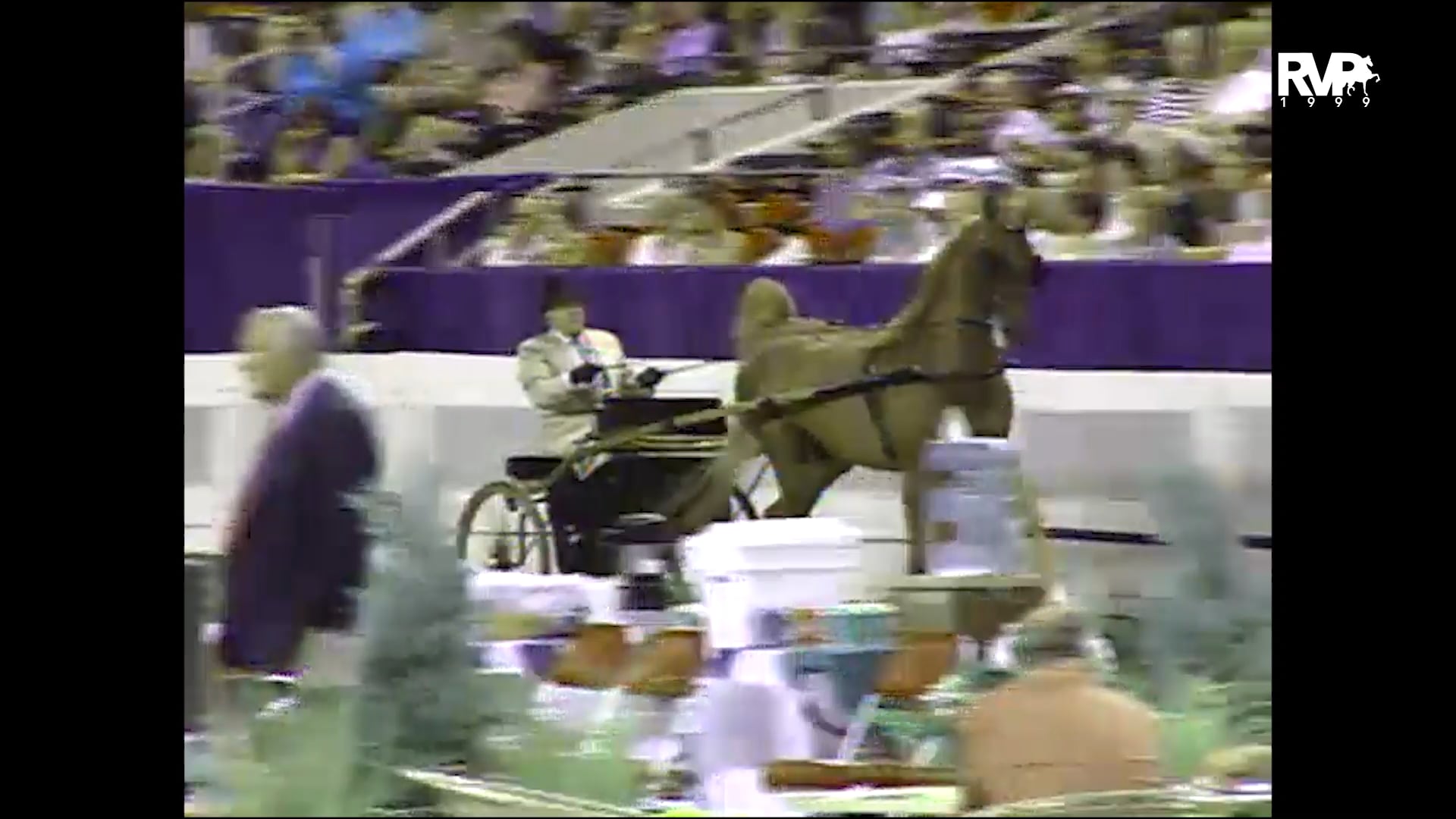 1999 WCHS - Class 125 ASB Country Pleasure Driving Adult 46 & Over