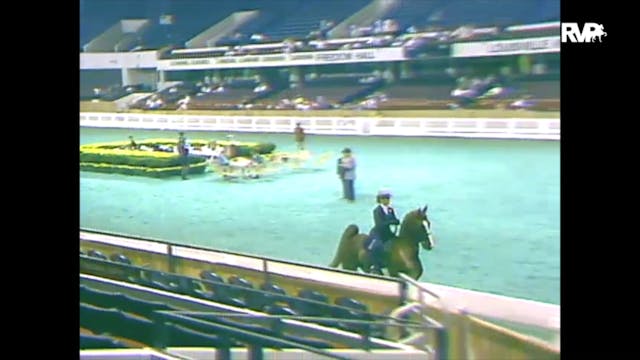 1988 WCHS Class 46 Equitation Open 9 ...
