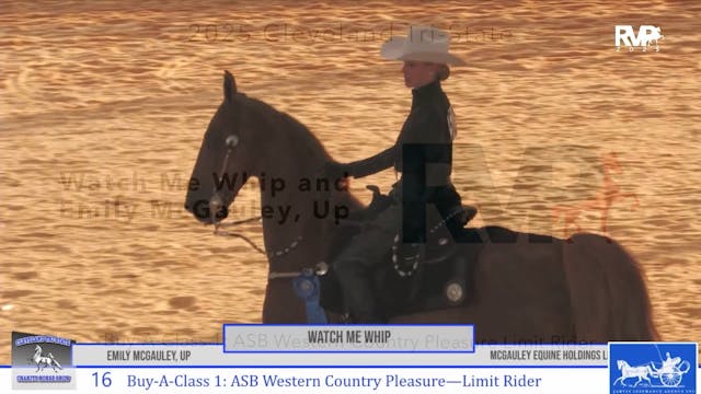 CTS25 - Class 16 - Watch Me Whip and ...