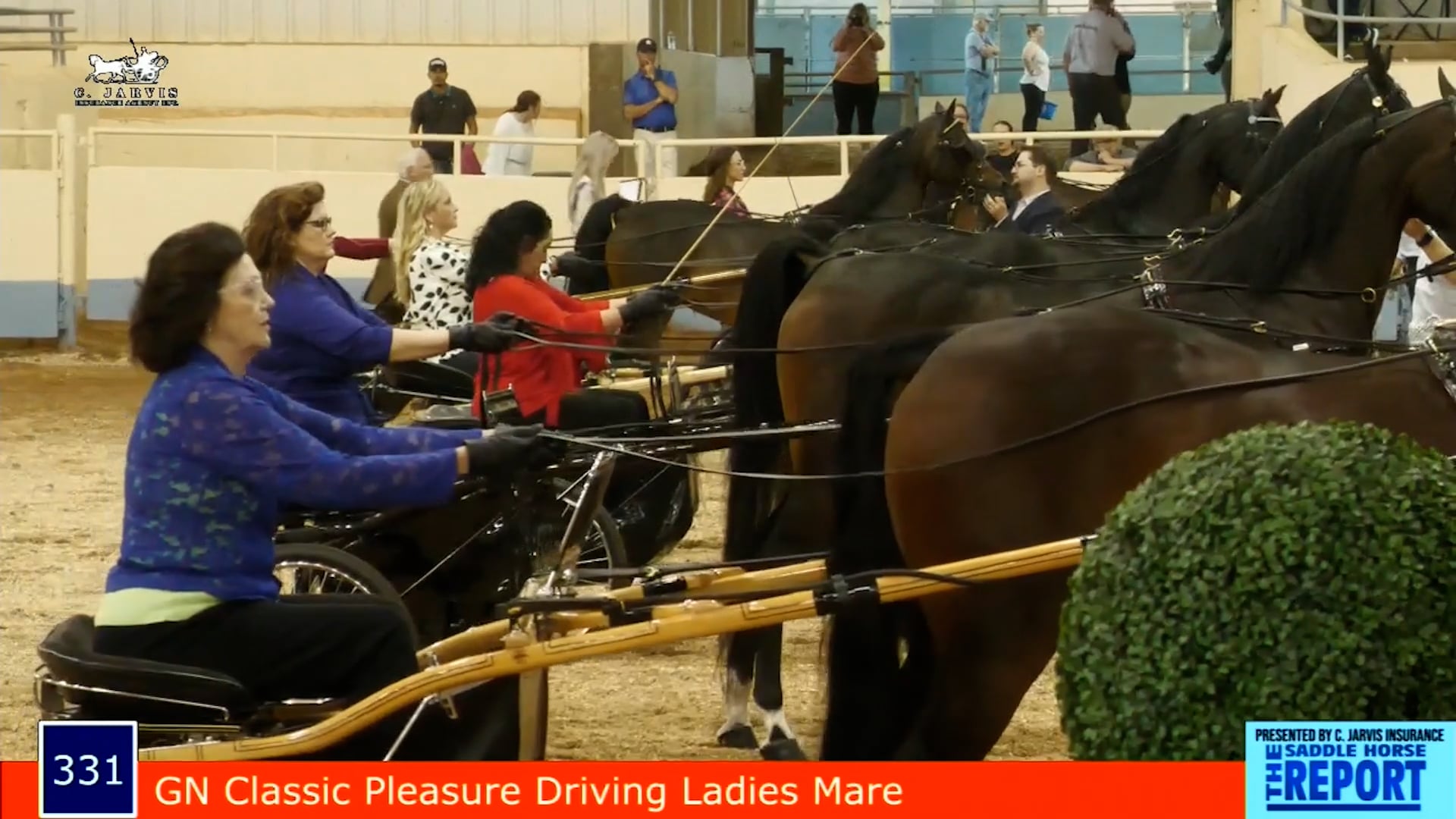 MGN21 - Class 331 - GN Classic Pleasure Driving Ladies Mare