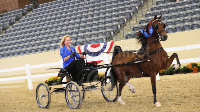AHHS Lydia Luhman Pederson National D...