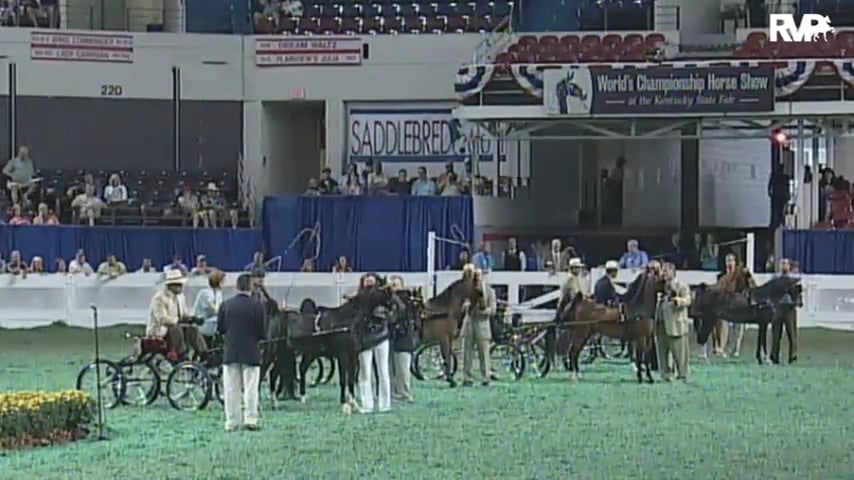 2010 World's Championship Horse Show Class 83 Four Year Old Harness Pony