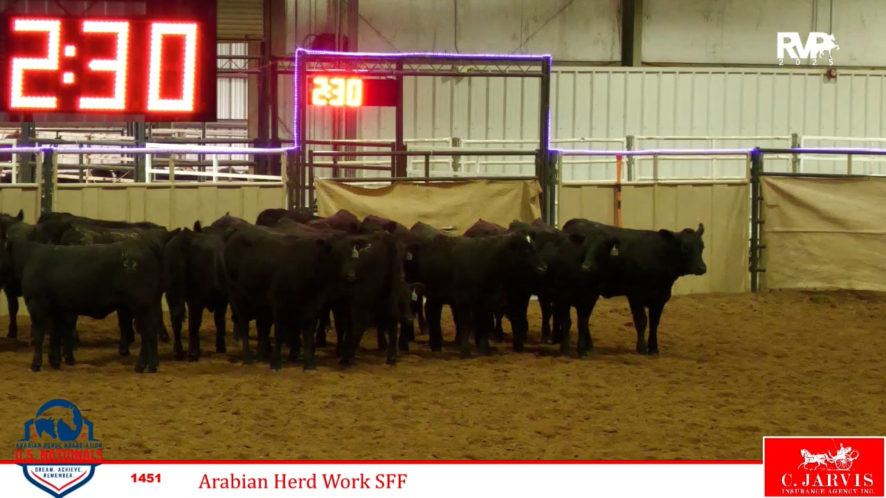 2025 Arabian Nationals - Thursday Morning - Mustang