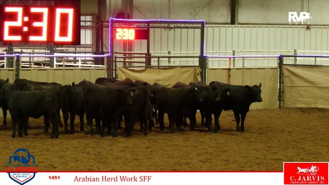 2025 Arabian Nationals - Thursday Mor...