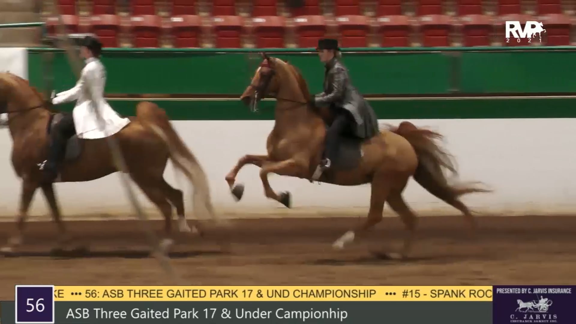 RSP21 - Class 56 - ASB Three Gaited Park 17 and Under Championship