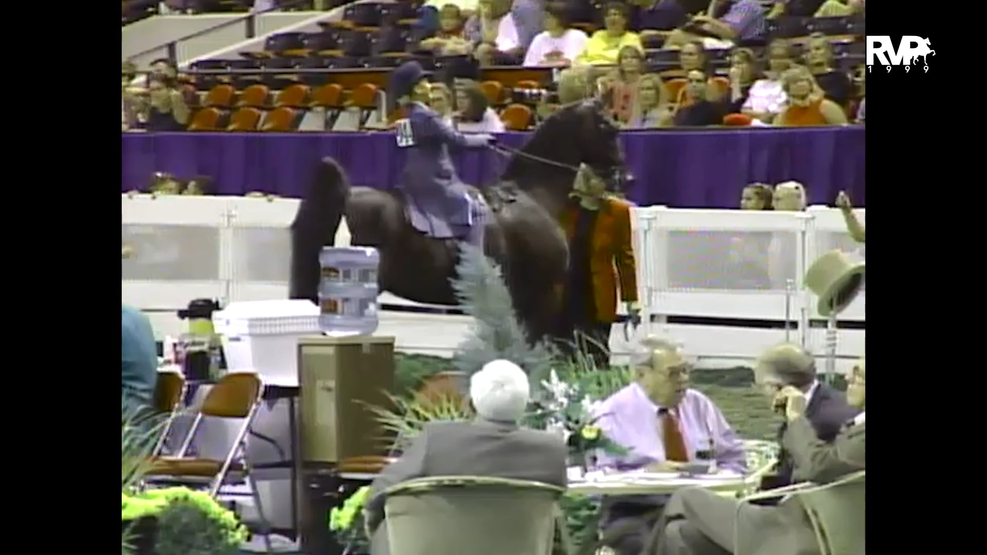 1999 WCHS - Class 181 Equitation Walk-Trot 9-10 Year Old Championship