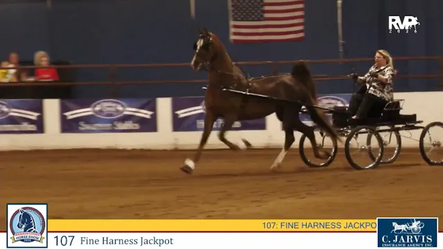 MC26 - Class 107 - Fine Harness Jackpot