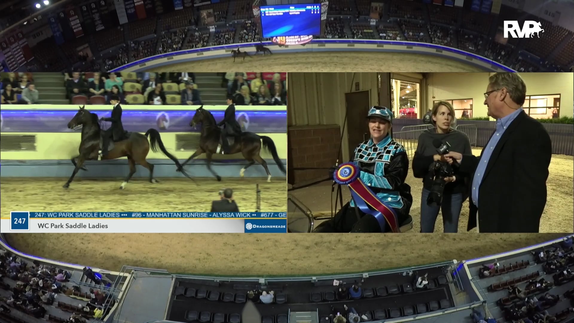 MGN19 - Wood Valley Odyssey GCH - Class 246