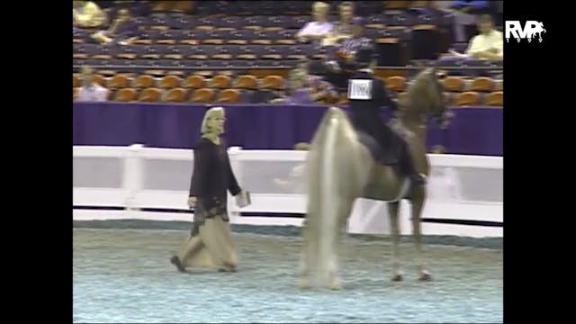 1999 WCHS - Class 72 Equitation Open ...