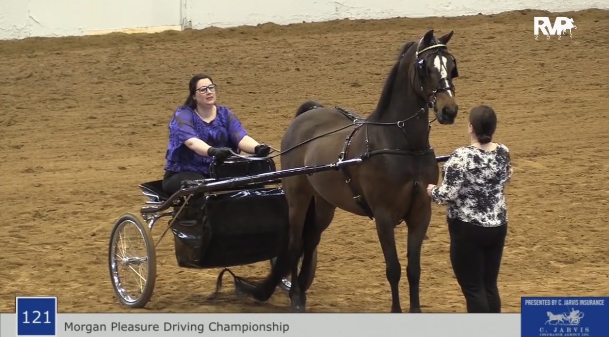 BB21 - Class 121 - Morgan Pleasure Driving Championship