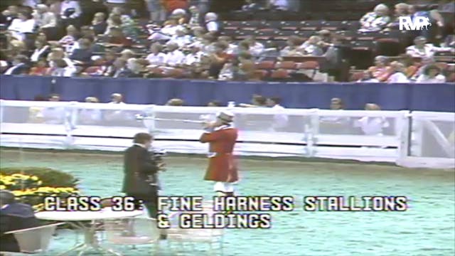 1991 WCHS Class 36 Fine Harness Stall...