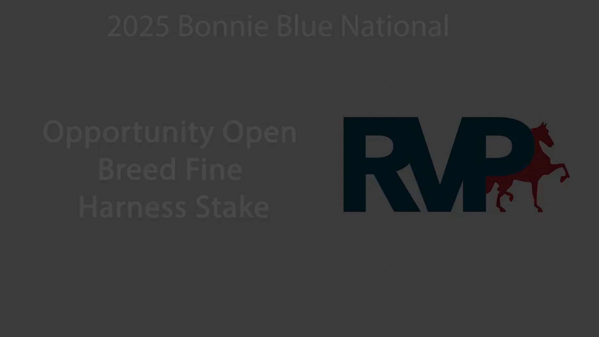 BB25 - Class 130 - Opportunity Open Breed Fine Harness Stake