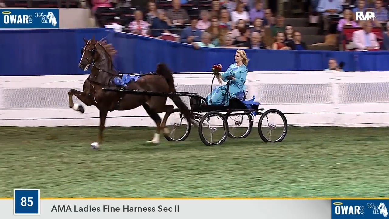 WCHS18 Class 85 - CH Caraway's New York Minute