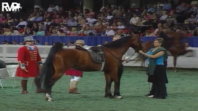 2004 World's Championship Horse Show ...