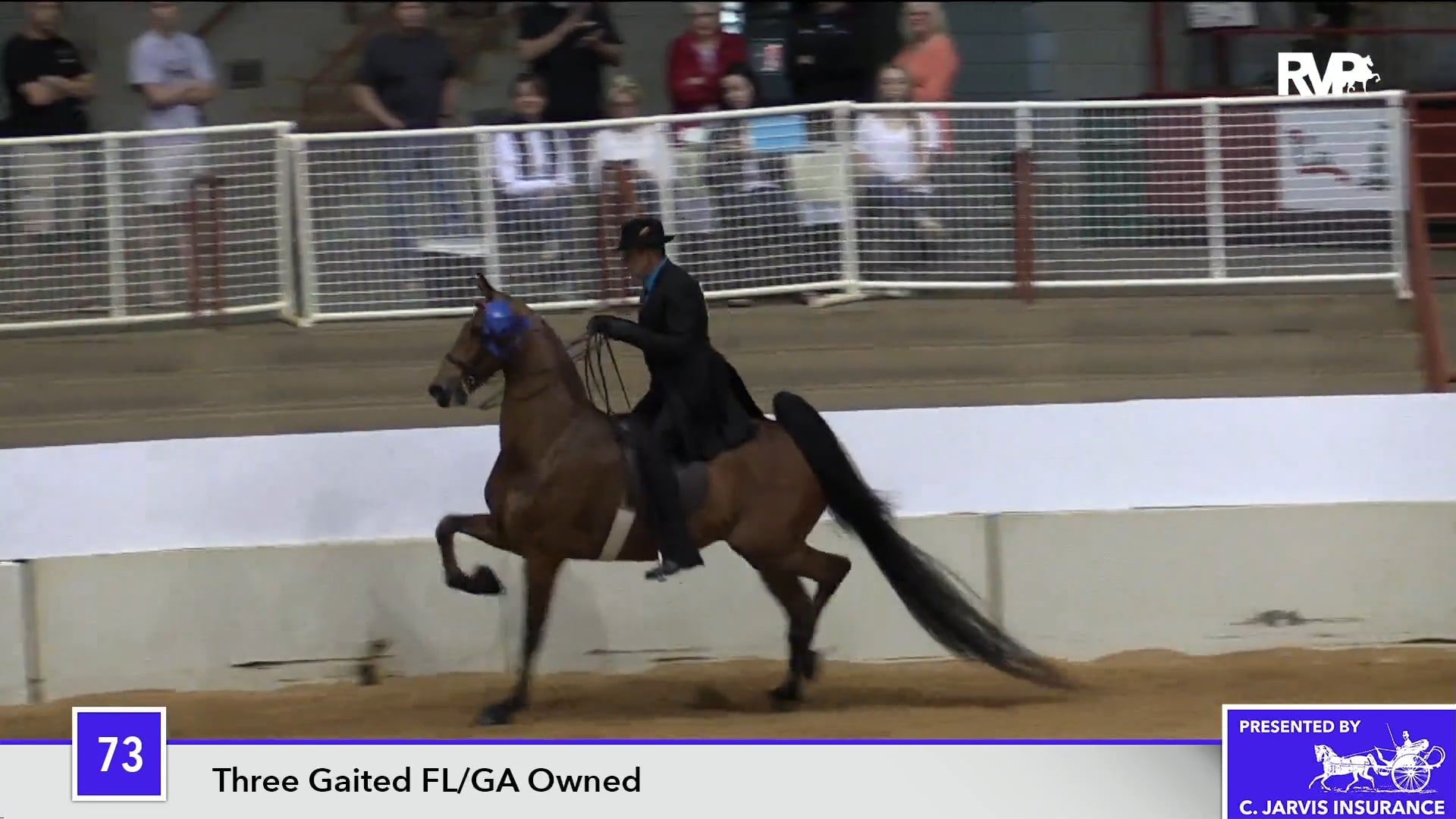 PA18 Class 73 Royale Tango