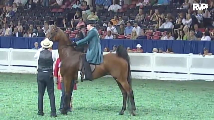 2010 World's Championship Horse Show Class 101 Amateur Three Gaited Over 15.2