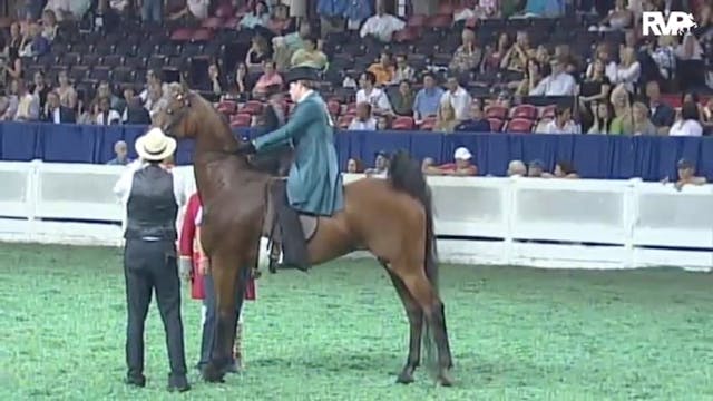 2010 World's Championship Horse Show ...