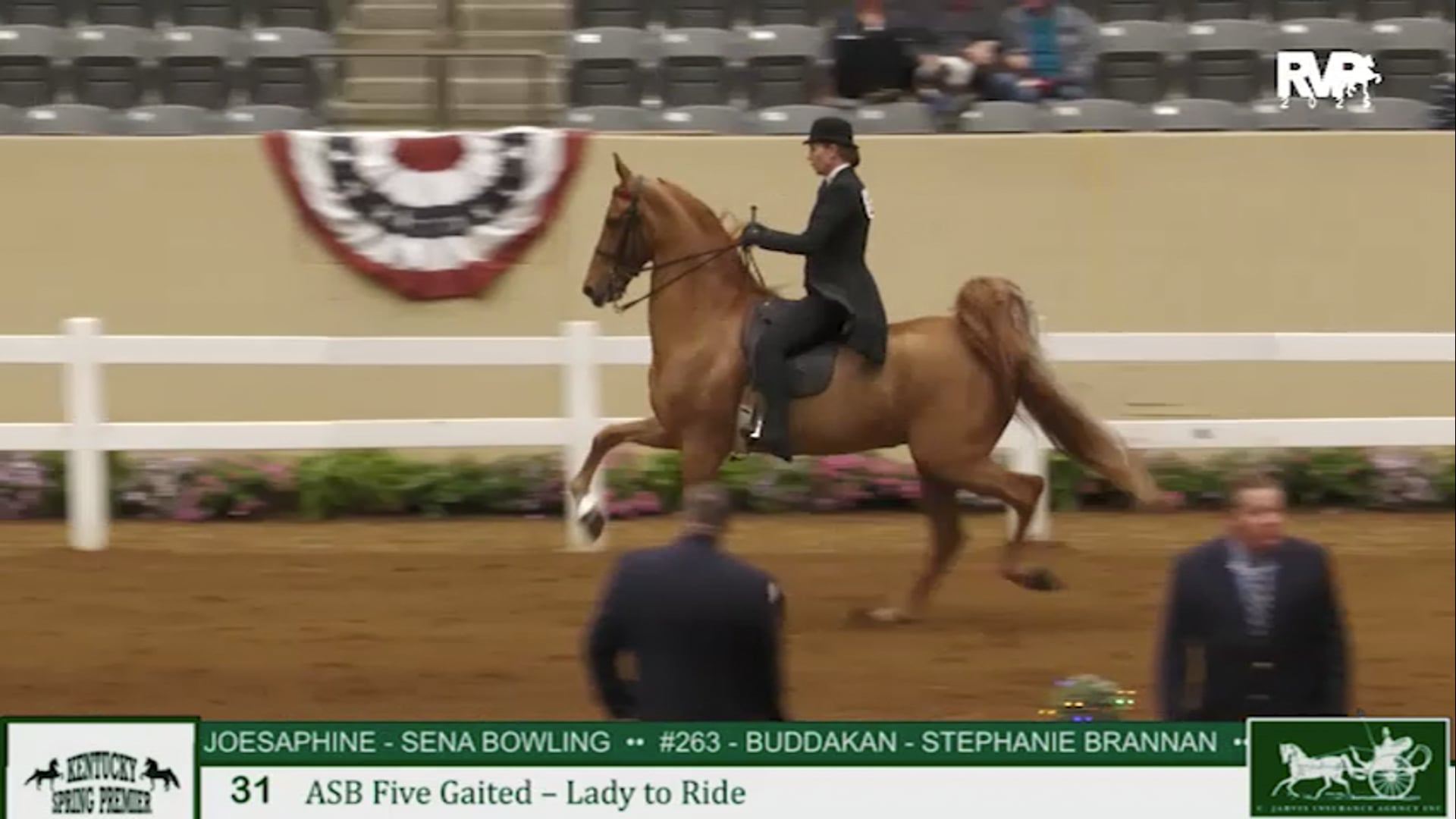 KYSP25 - Class 31 - ASB Five Gaited Country Lady to Ride