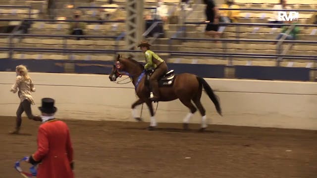 2020 JMHS - Dressage Champions Presen...