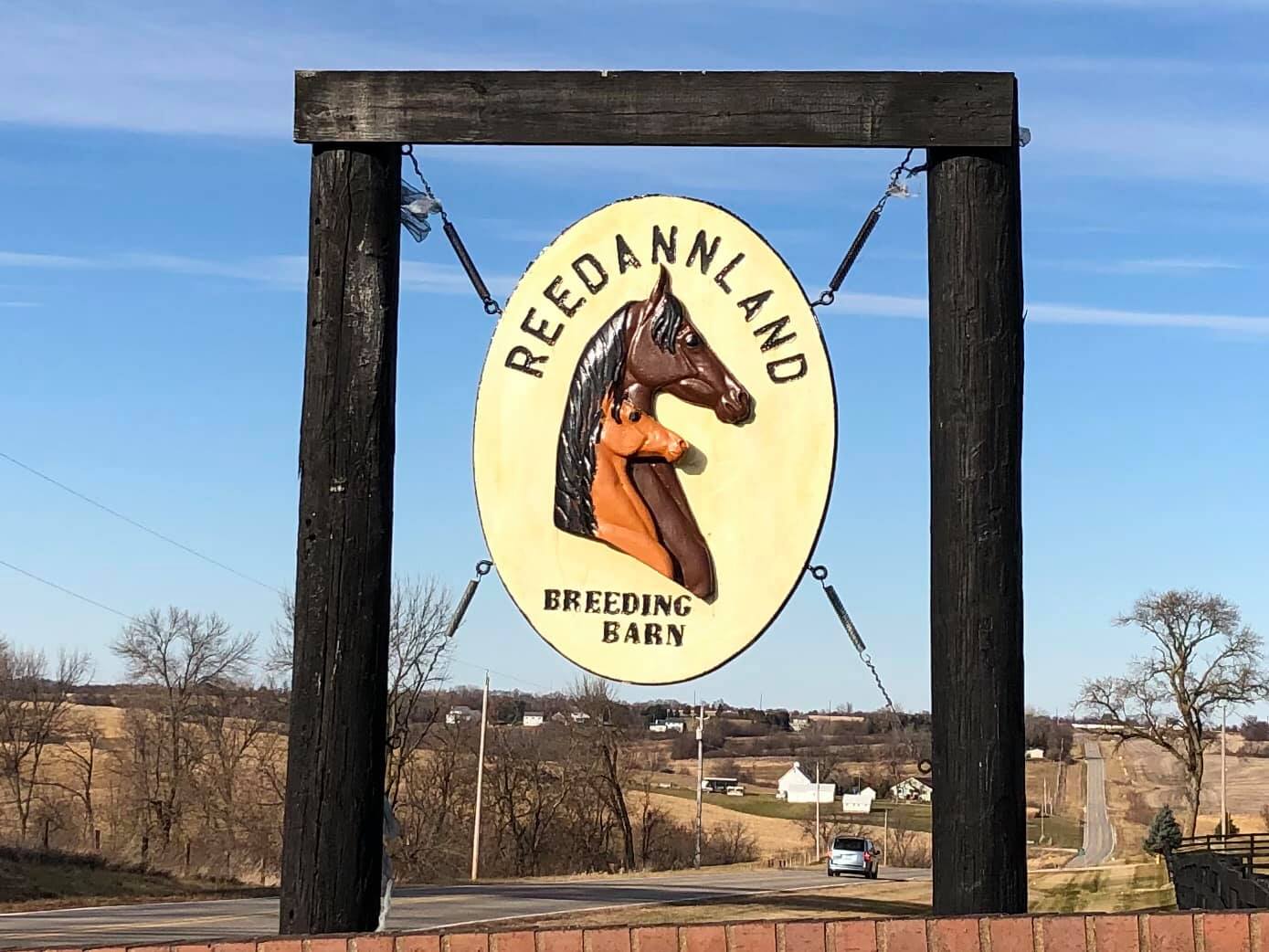 Reedann's Can You Believe