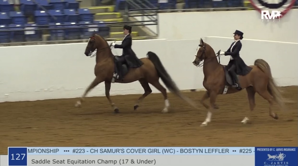 BB21 - Class 127 - Saddle Seat Equitation Championship