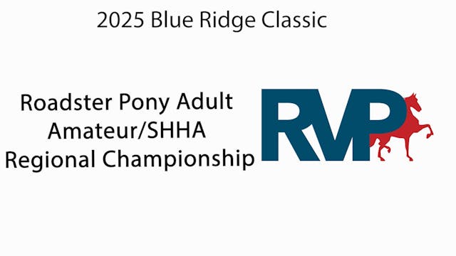 BRC25 - Class 181 - Roadster Pony Adu...