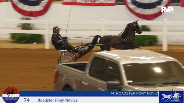 SC24 - Class 74 - Roadster Pony Novice