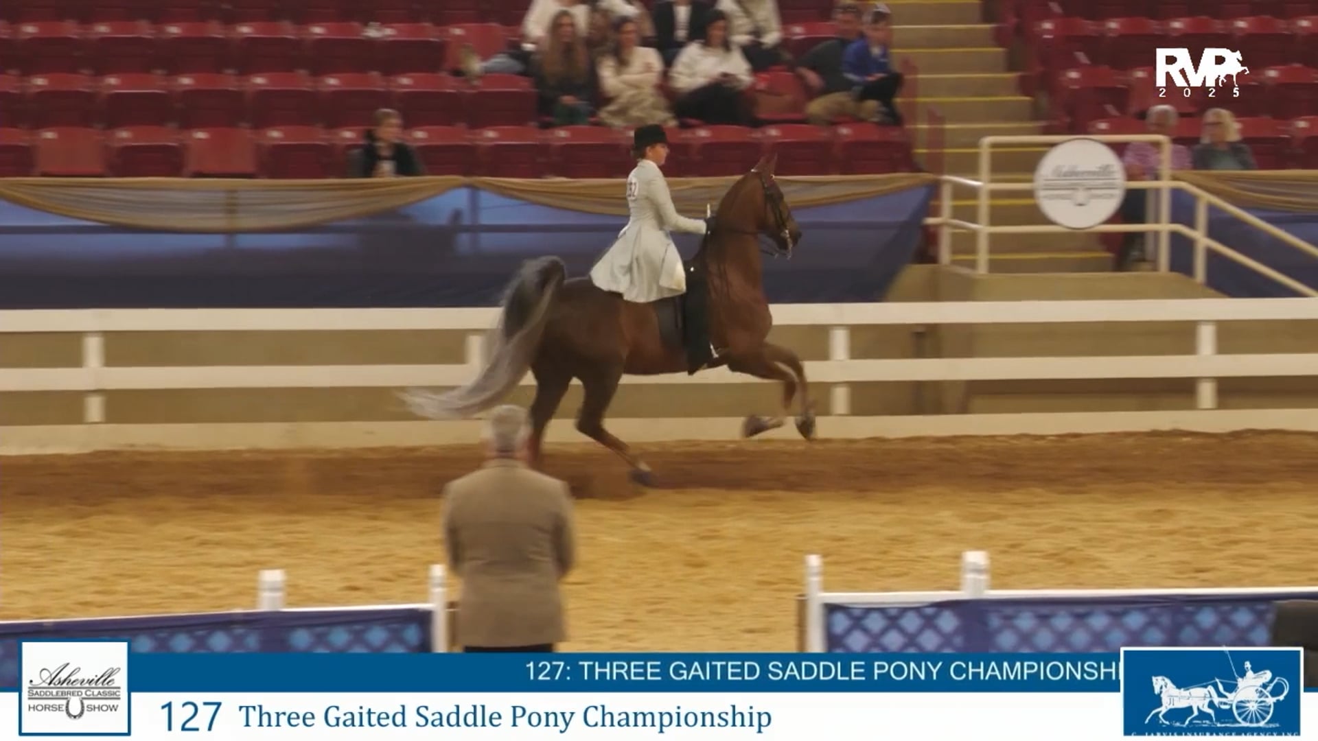 ASC25 - Class 127 - Three Gaited Saddle Pony Championship