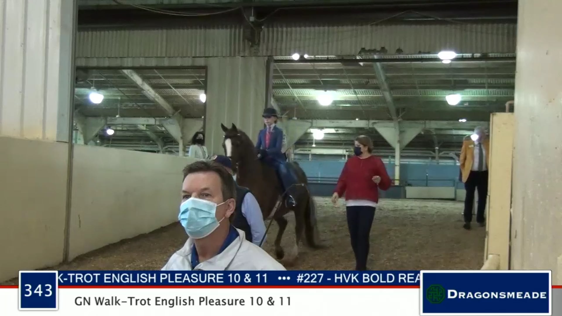 2020 MGN - 343 GN Walk-Trot English Pleasure 10 & 11