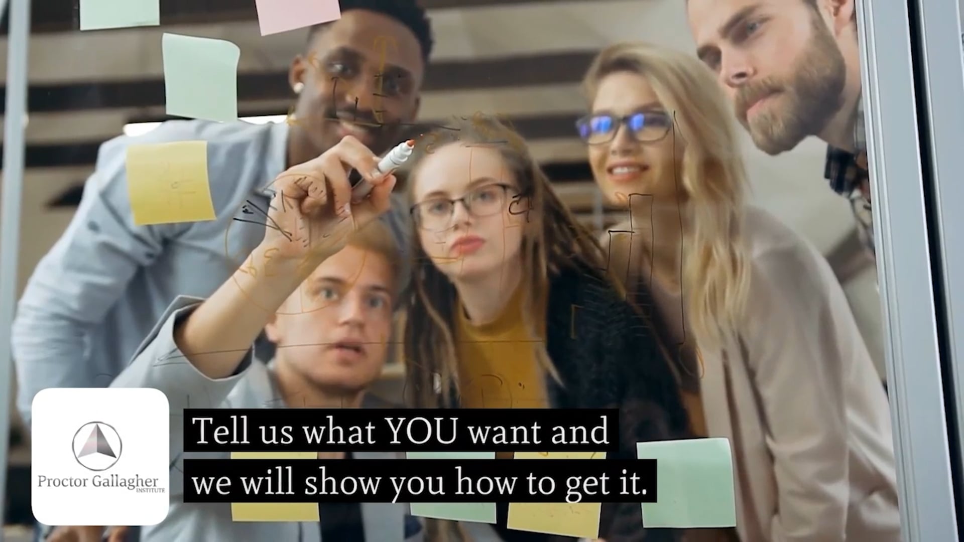 SS25 - Class 144.1 -  OTAB Walk & Trot Championship - Juvenile:Amateur Rider