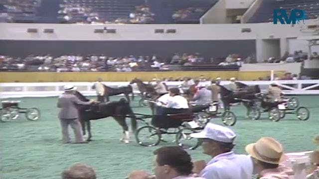1987 WCHS Class 8 AHHS Futurity 3 Yea...