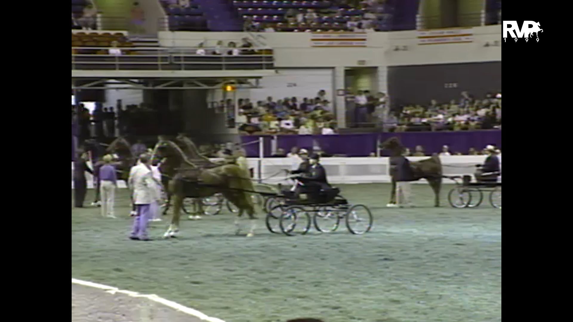 1999 WCHS - Class 210 Three Year Old Fine Harness Stallion-Gelding Stake