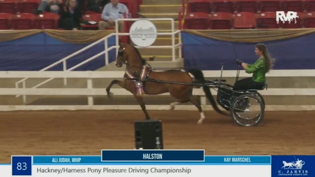 2022 Bonnie Blue Horse Show - Friday ...