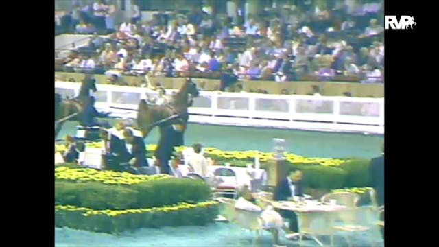 1988 WCHS Class 34 ASHA Kentucky Futu...