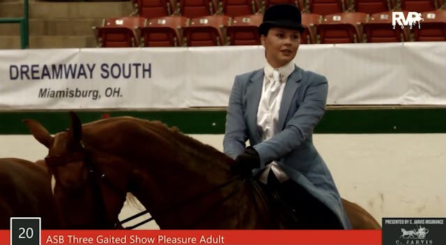 SS21 - Class 20 - ASB Three Gaited Sh...
