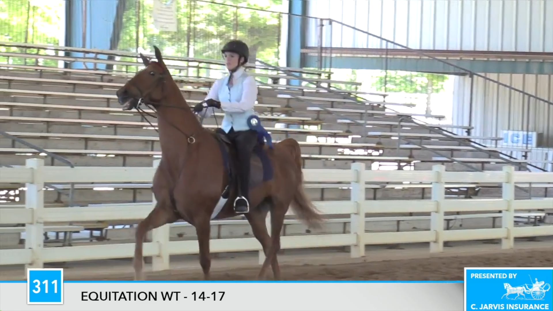 DC17 - Ashley Wilson 