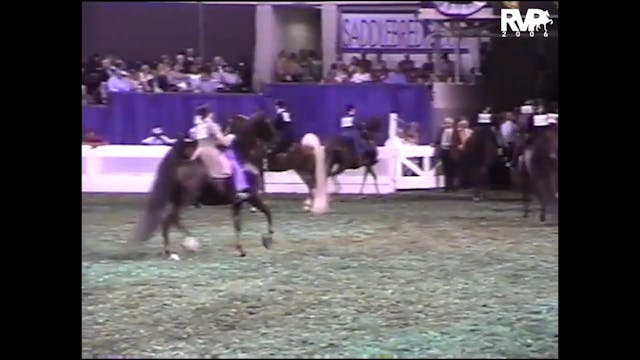 2006 WCHS - Amateur Three Gaited Park...