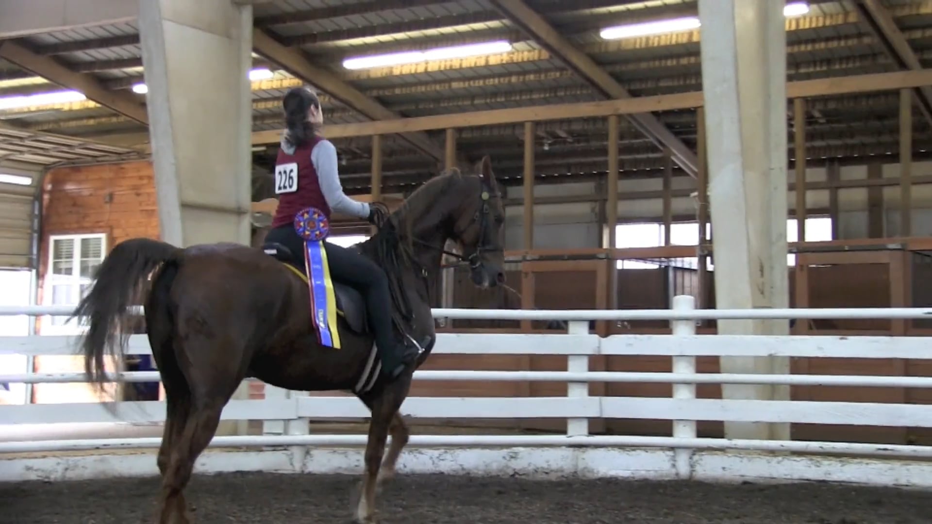 High Caliber 2018 Adult Camp Championship Horse Show