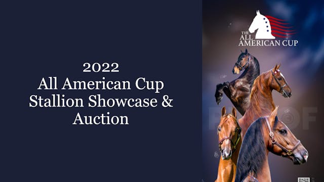 2022 All American Cup Stallion Showcase 