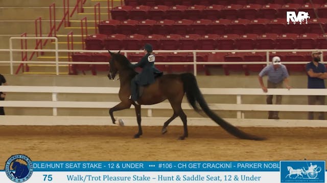 ASF24 - Class 75 - Walk:Trot Pleasure...