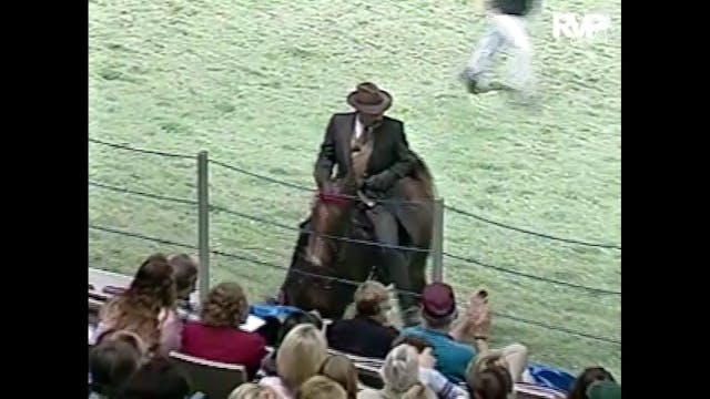 2001 AR - Class 114 Five Gaited Three...