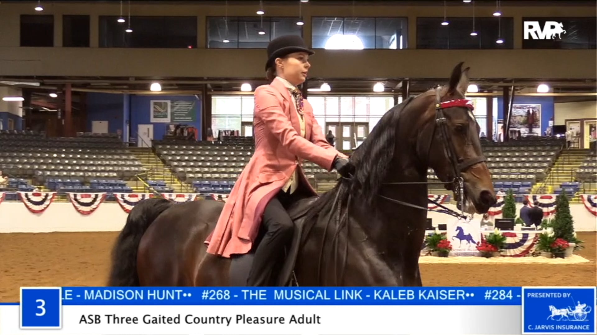 2020 BB - Class 3 ASB Three Gaited Country
 Pleasure Adult