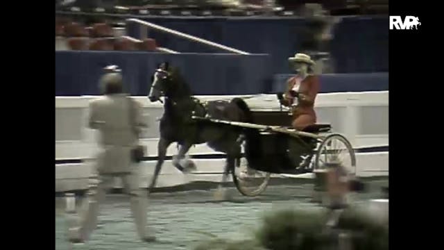 1997 WCHS - Class 32 Amateur Junior H...