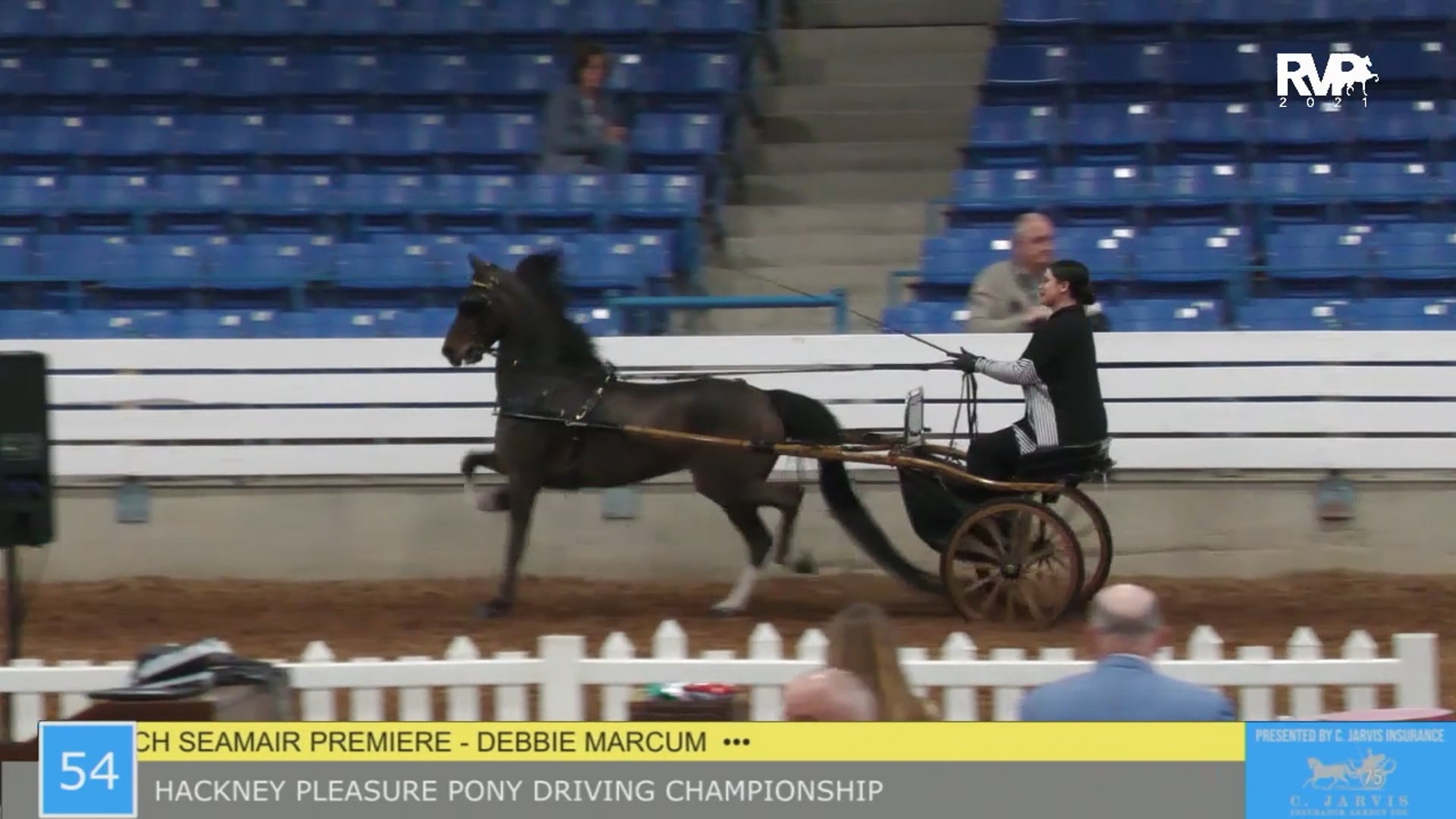 SSSF21 - Class 54 - Hackney Pony Pleasure Driving Championship