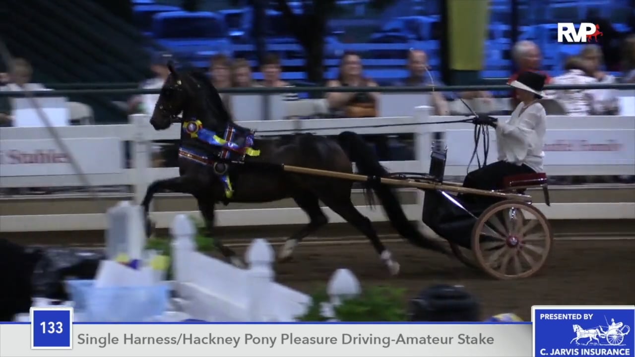 SEC18 - Class 133 - CH Heartland Cracker Jack Championship