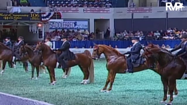 2009 World's Championship Horse Show ...