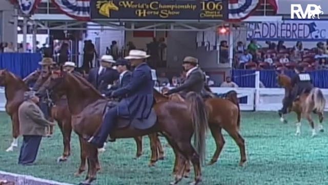 2009 World's Championship Horse Show ...