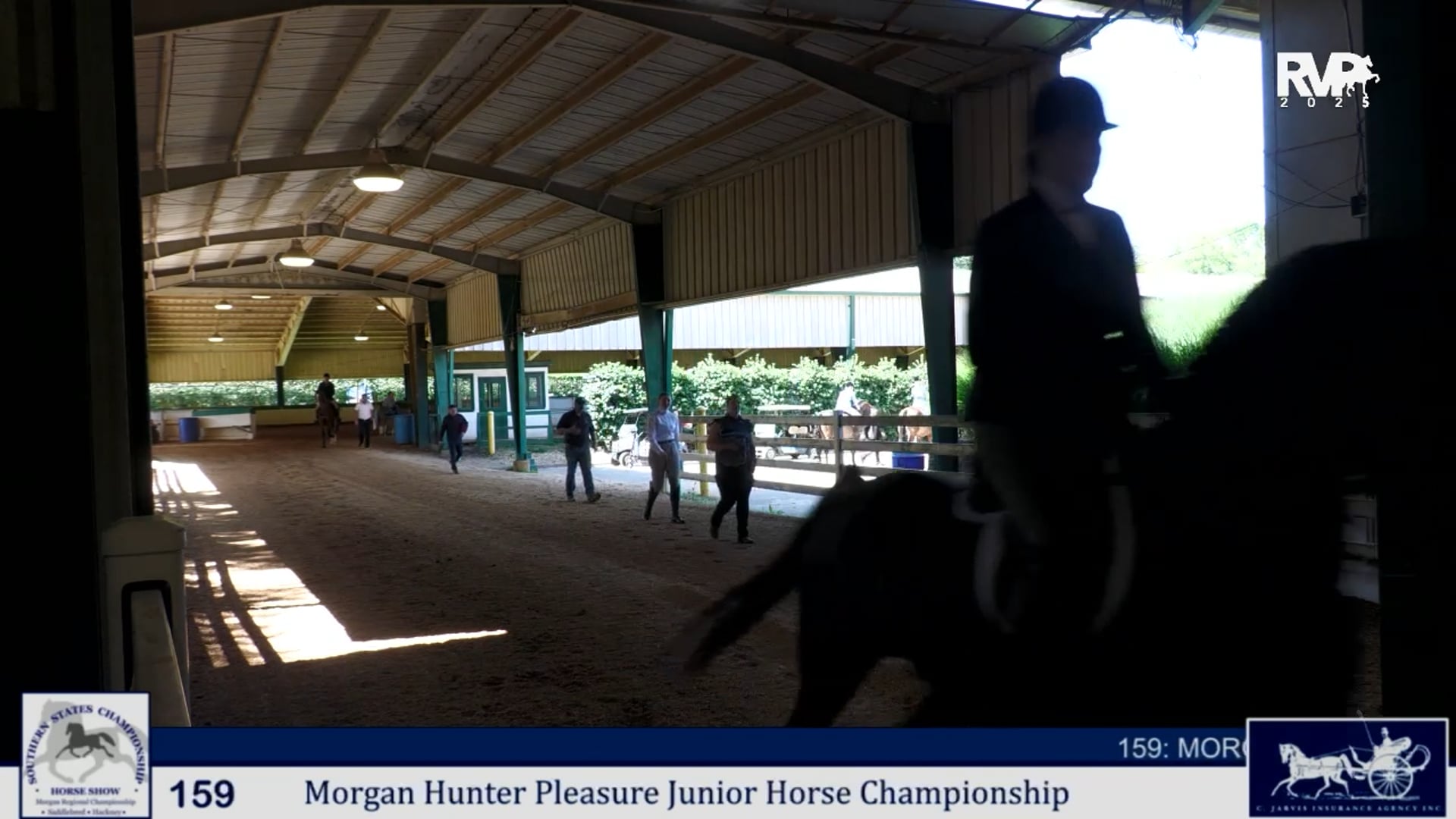 SS25 - Class 159 -  Morgan Hunter Pleasure Junior Horse Championship