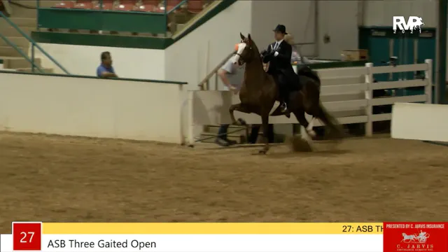 NCSC21 - Class 27 - ASB Three Gaited ...